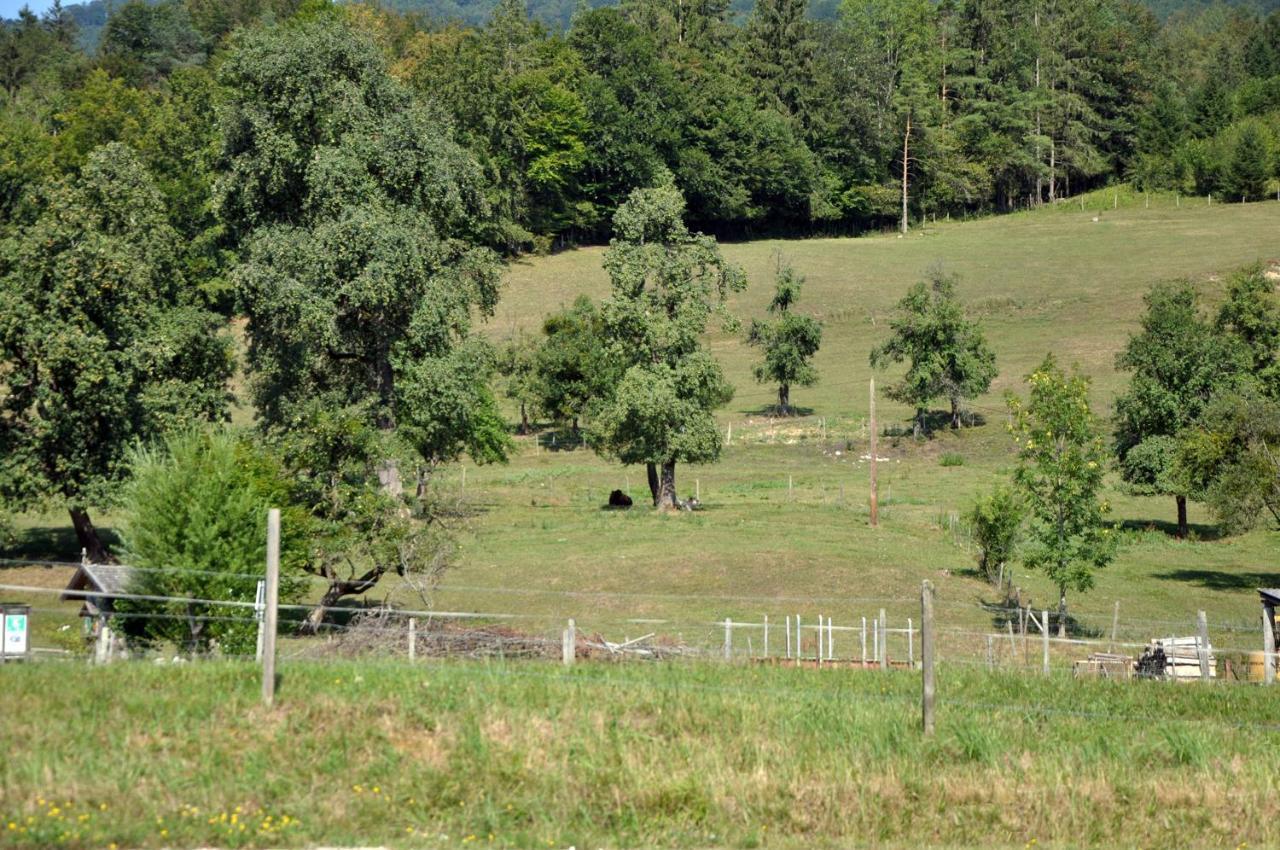 Mostheuriger Steyrdurchbruchalm Leonstein Exterior photo